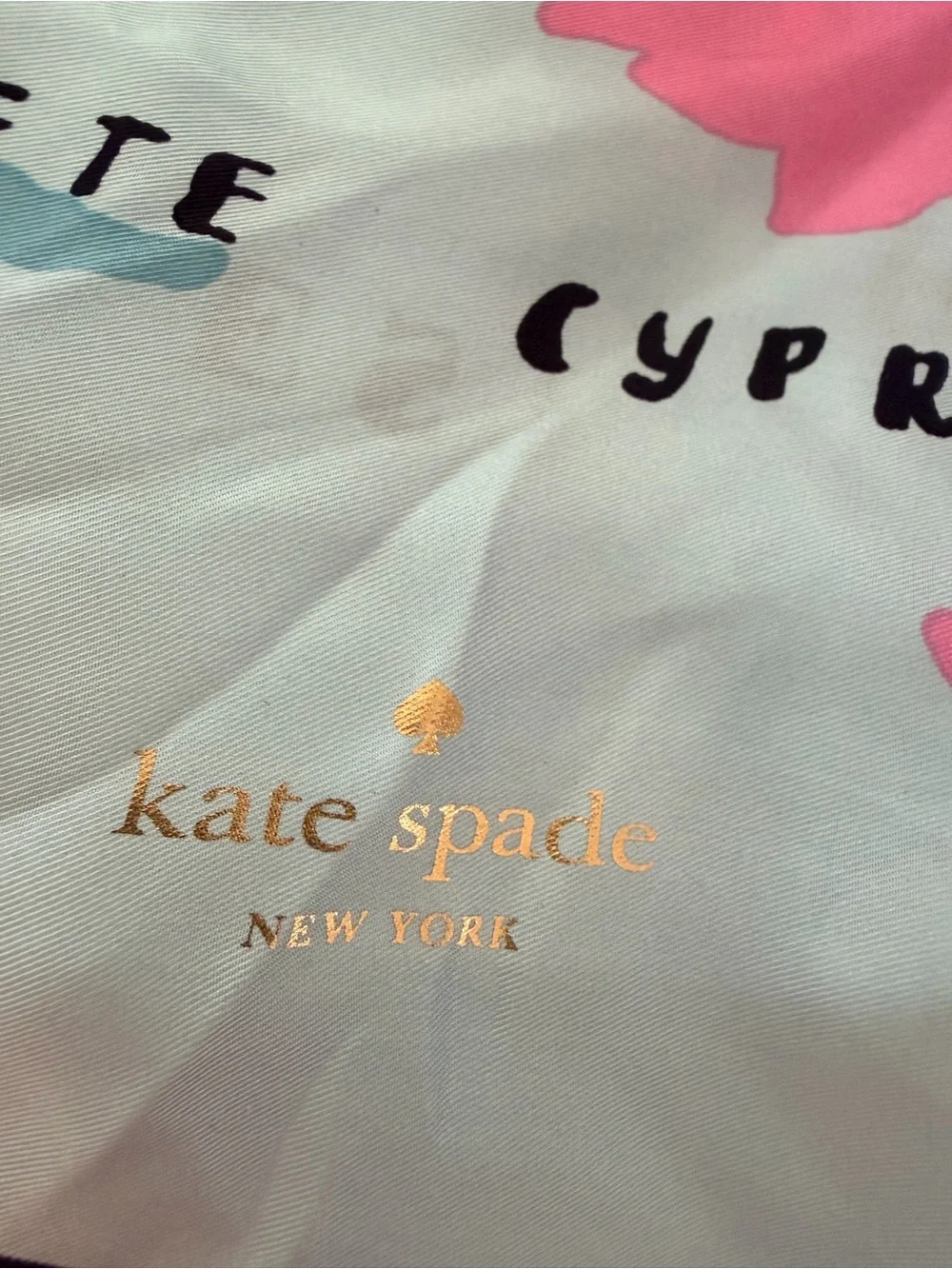 Kate Spade Going Places Europe Map 100% Silk Scarf Icy Blue Pink NWT